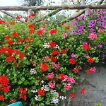 Casa Betania Da Peppe Holiday home