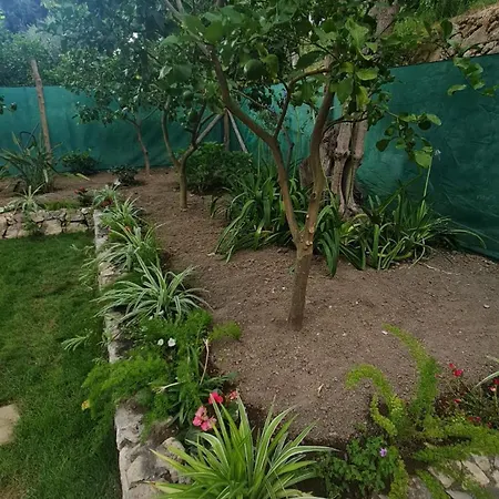Vakantiehuis Casa Betania Da Peppe *
